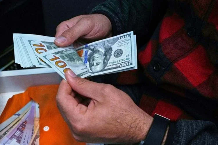 Курси валют НБУ на 23 липня: долар 44,77, євро 51,06, злотий 11,79